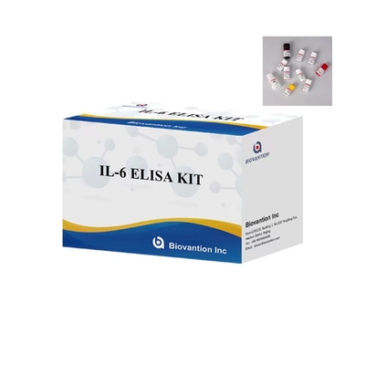 IL 6 ELISA-Test-Kit 1 Stunde Prüfzeit 96 Tests ELISA-Kit für IVD-Labor
