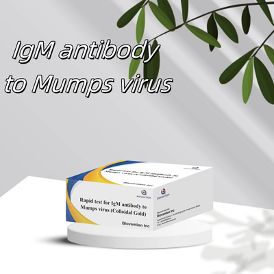 Schnelle genaue Kolloidgold-Schnelltest IgM-Antikörper gegen Mumps-Virus in Kassetten-/Bandformat für Ergebnisse