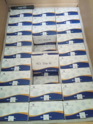 HCV-ELISA-Test-Kit BOLD-PROBEINEN ohne Kreuzreaktivität zur präzisen Prüfung