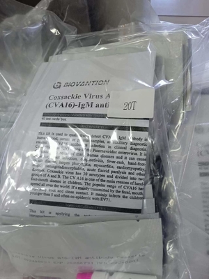 Coxsackie-Virus A16 CVA16-IgM Antikörper-Kassette Schnelltest Serum Schnelltests Fachmann