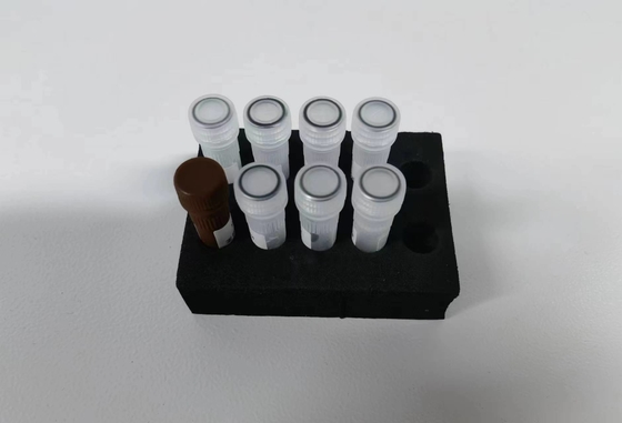 Hepatitis-B-Virus-HBV-Quantitative PCR-KIT Empfindlichkeitsprobe-Typ-Test-Kit mit 96 Tests