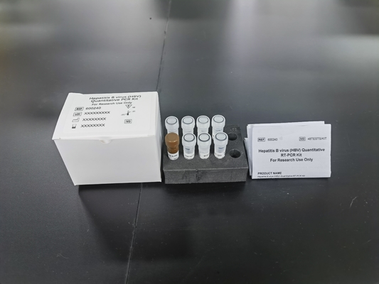 Hepatitis-B-Virus-HBV-Quantitative PCR-KIT Empfindlichkeitsprobe-Typ-Test-Kit mit 96 Tests