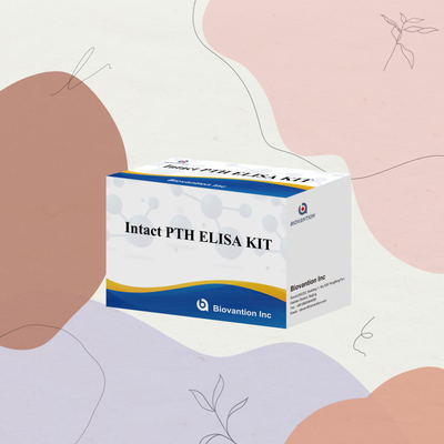Detektionskit für intaktes PTH für menschliche Detektionsreagenzium für menschliche Serumplasma