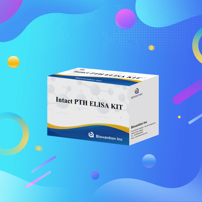 Detektionskit für intaktes PTH für menschliche Detektionsreagenzium für menschliche Serumplasma