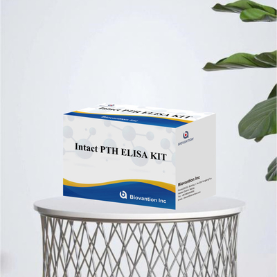 Detektionskit für intaktes PTH für menschliche Detektionsreagenzium für menschliche Serumplasma