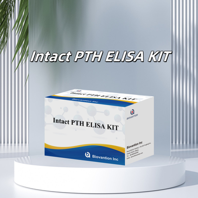 Detektionskit für intaktes PTH für menschliche Detektionsreagenzium für menschliche Serumplasma
