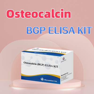 Detektionskit für Osteocalcin BGP für Menschen Detektionsreagenz für menschliches Serumplasma