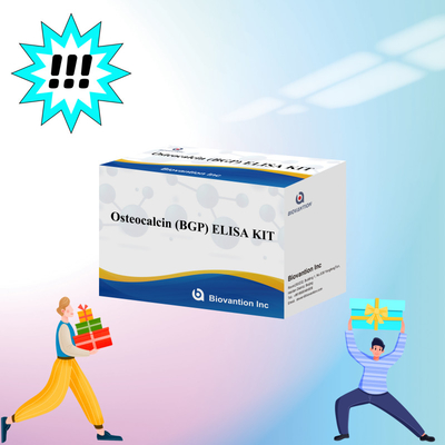Detektionskit für Osteocalcin BGP für Menschen Detektionsreagenz für menschliches Serumplasma