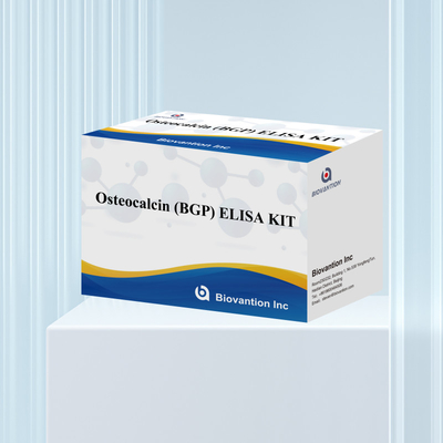 Detektionskit für Osteocalcin BGP für Menschen Detektionsreagenz für menschliches Serumplasma
