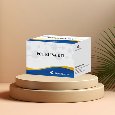 Detektionskit für PCT für menschliche Detektionsreagenzien für menschliche Serumplasma