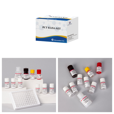 Detektionskit für PCT für menschliche Detektionsreagenzien für menschliche Serumplasma