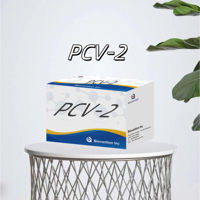 WB/S/P PCV-2 ELISA-Test für tierische Antikörper Veterinärreagenzien
