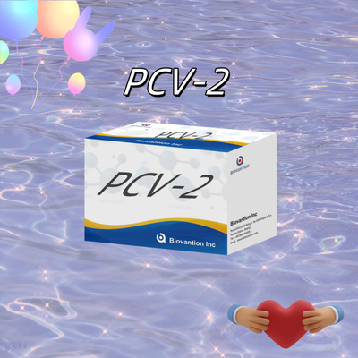 WB/S/P PCV-2 ELISA-Test für tierische Antikörper Veterinärreagenzien
