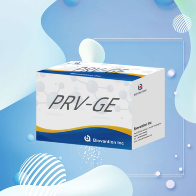 Detektionskit für Tierdetektionsreagenzium PRV-GE Antikörper-ELISA-Kit