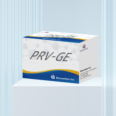 Detektionskit für Tierdetektionsreagenzium PRV-GE Antikörper-ELISA-Kit