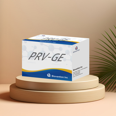 Detektionskit für Tierdetektionsreagenzium PRV-GE Antikörper-ELISA-Kit