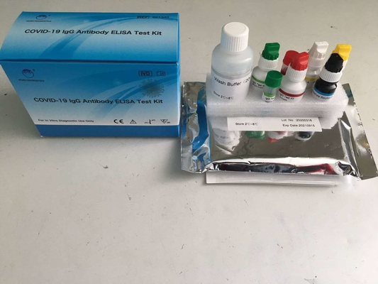 Covid-19 IgG ELISA TEST KIT Format Kit Enzymgebundene Immunsorptionsprüfung