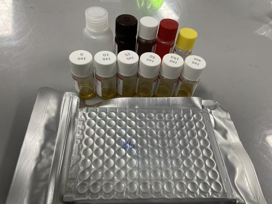Ratten Bcl-2 Serum Methode ELISA Probentyp Serum ELISA RUO Testkit mit 98% Spezifität
