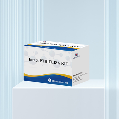 Detektionskit für intaktes PTH für menschliche Detektionsreagenzium für menschliche Serumplasma