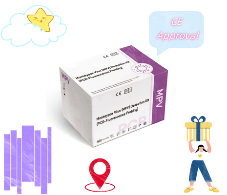 PCR-Erkennung Methode Monkeypox-Erkennung Reagenz Mpox-Virus PCR-Reagenz mit 48 Test