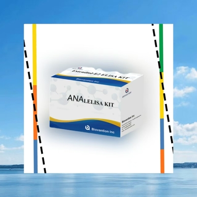 Anti-ANA IgG ELISA-Test-Kit Anti-Kern-IgG-Antikörper qualitative Detektion