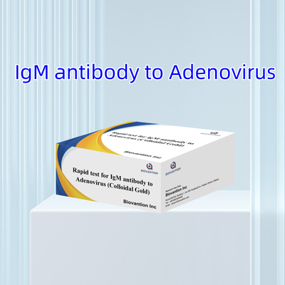 Hochempfindlicher Adenovirus IgM-Schnelltest Kolloidgold-Schnelltest für Mediziner