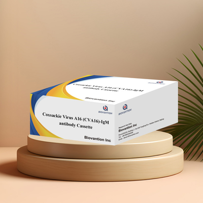 Coxsackie-Virus A16 CVA16-IgM Antikörper-Kassette WB/S/P Kolloidgold-Schnelltest