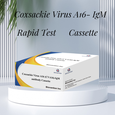 Coxsackie-Virus A16 CVA16-IgM Antikörper-Kassette WB/S/P Kolloidgold-Schnelltest