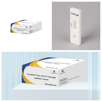 Coxsackie-Virus A16 CVA16-IgM Antikörper-Kassette WB/S/P Kolloidgold-Schnelltest