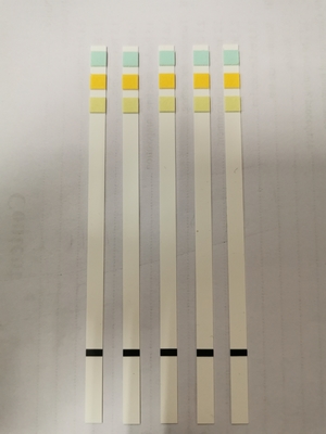 Urinanalyse Teststreifen Trockene chemische Methode Urin-H-11 Urin-H-10 Urin-H-8