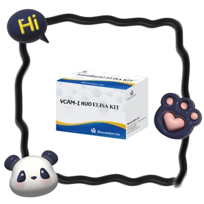 Humaner TLR4 RUO ELISA Testkit zur medizinischen Diagnose RUO Nur für Forschungszwecke