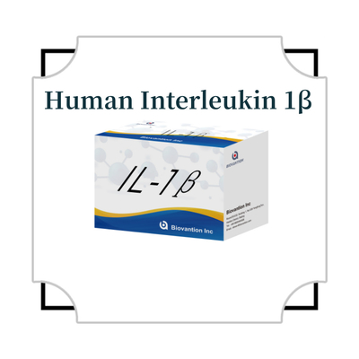 IL-1β-sensible ELISA-Kit für Forschungszwecke mit einer Empfindlichkeit von 95% und 6 Monaten