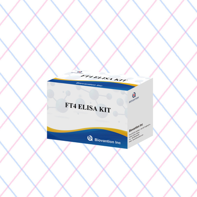 FT4 Elisa Kit mit 95% Empfindlichkeit in vitro Prüfreagenz für den Menschen