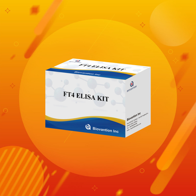 FT4 Elisa Kit mit 95% Empfindlichkeit in vitro Prüfreagenz für den Menschen