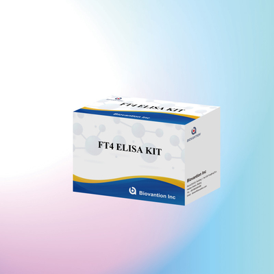 TOXO IgM IgG igg igg igm ELISA-Kit für den menschlichen Gebrauch Diagnosegerät Testkit mit 96 Kit