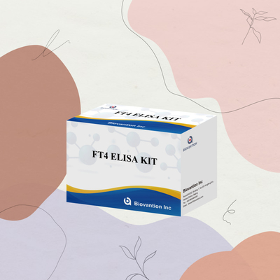 TOXO IgM IgG igg igg igm ELISA-Kit für den menschlichen Gebrauch Diagnosegerät Testkit mit 96 Kit