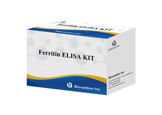 Ferritin Elisa Testkit Enzymgebundene Produkte Kurze Transportzeit Hohe Qualität