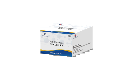Häufig verwendete Schilddrüsenhormonprobe T4 Triiodothyronin ELISA TEST KIT
