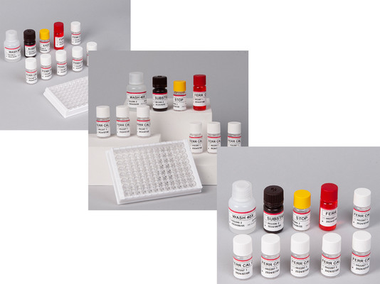 Labor- oder Krankenhaus-Hochpräzisions-Humanferritin-FE ELISA-Test-KIT