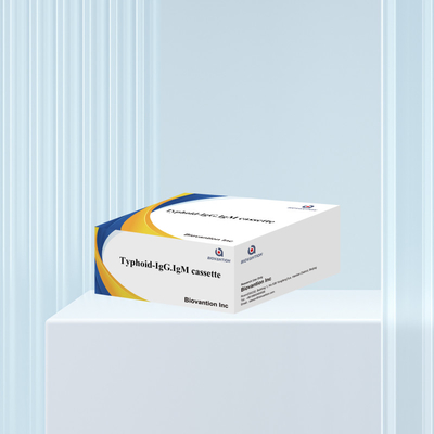 Warmverkauf Typhus IgM IgG Für Laboratorien Krankenhäuser Typhusfieber Blutschnelltest-Kit