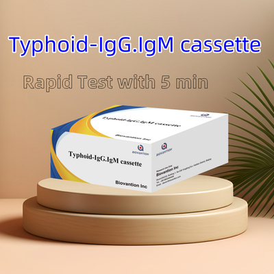 Warmverkauf Typhus IgM IgG Für Laboratorien Krankenhäuser Typhusfieber Blutschnelltest-Kit