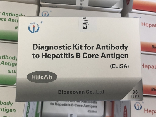 Warmverkauf Diagnosereagenz für den menschlichen Gebrauch mit 96 Test Hbc Antikörper HBcAb Elisa Kit