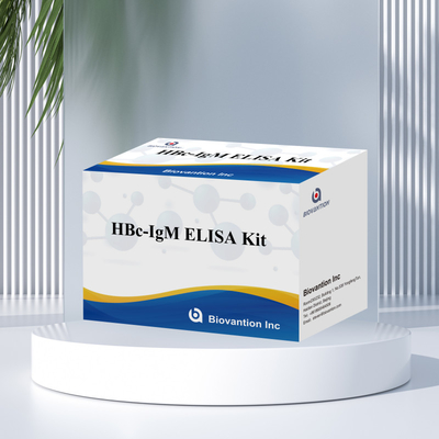 Hochgenaue HBc IgM-Anthgen-Diagnostikreagenten-Test mit enzymgebundenem Immunosorbenten-Test-Kit