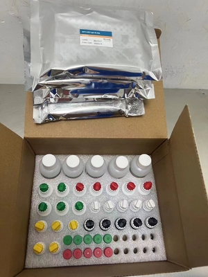 Neue Ankunft IVD-Reagent HCV-Diagnostischer Reagent-Test für das menschliche Krankenhaus-Klinikum