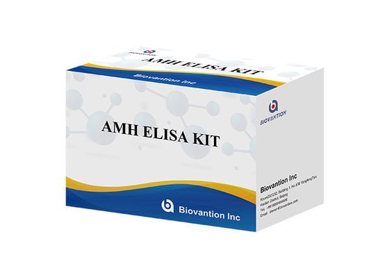 Anti-Mullerian Hormon AMH Elisa Test Kit Für den menschlichen Gebrauch mit Serumplasma