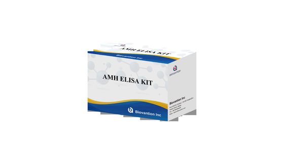 Anti-Mullerian Hormon AMH Elisa Test Kit Für den menschlichen Gebrauch mit Serumplasma