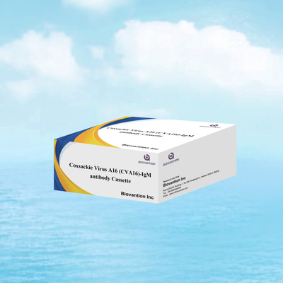 CVA16 IVD-Diagnostisches Reagenzium Coxsackie-Virus A16 CVA16-IgM Antikörperkassette WB/S/P Kolloidgold-Schnelltest