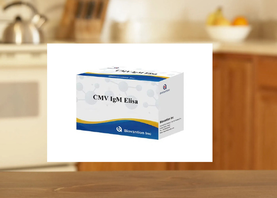 cMV IgM Elisa-Test-Kit für die Enzym-gebundene Immunosorbentenanalyse