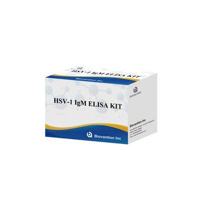 HSV-1 IgM Medizinische Diagnose Elisa Testkit mit 18 Monaten Haltbarkeit Ursprung