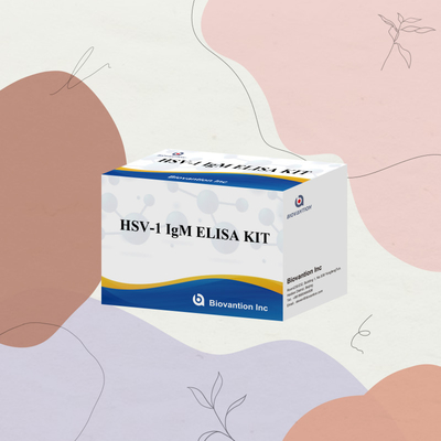 HSV-1 IgM Medizinische Diagnose Elisa Testkit mit 18 Monaten Haltbarkeit Ursprung